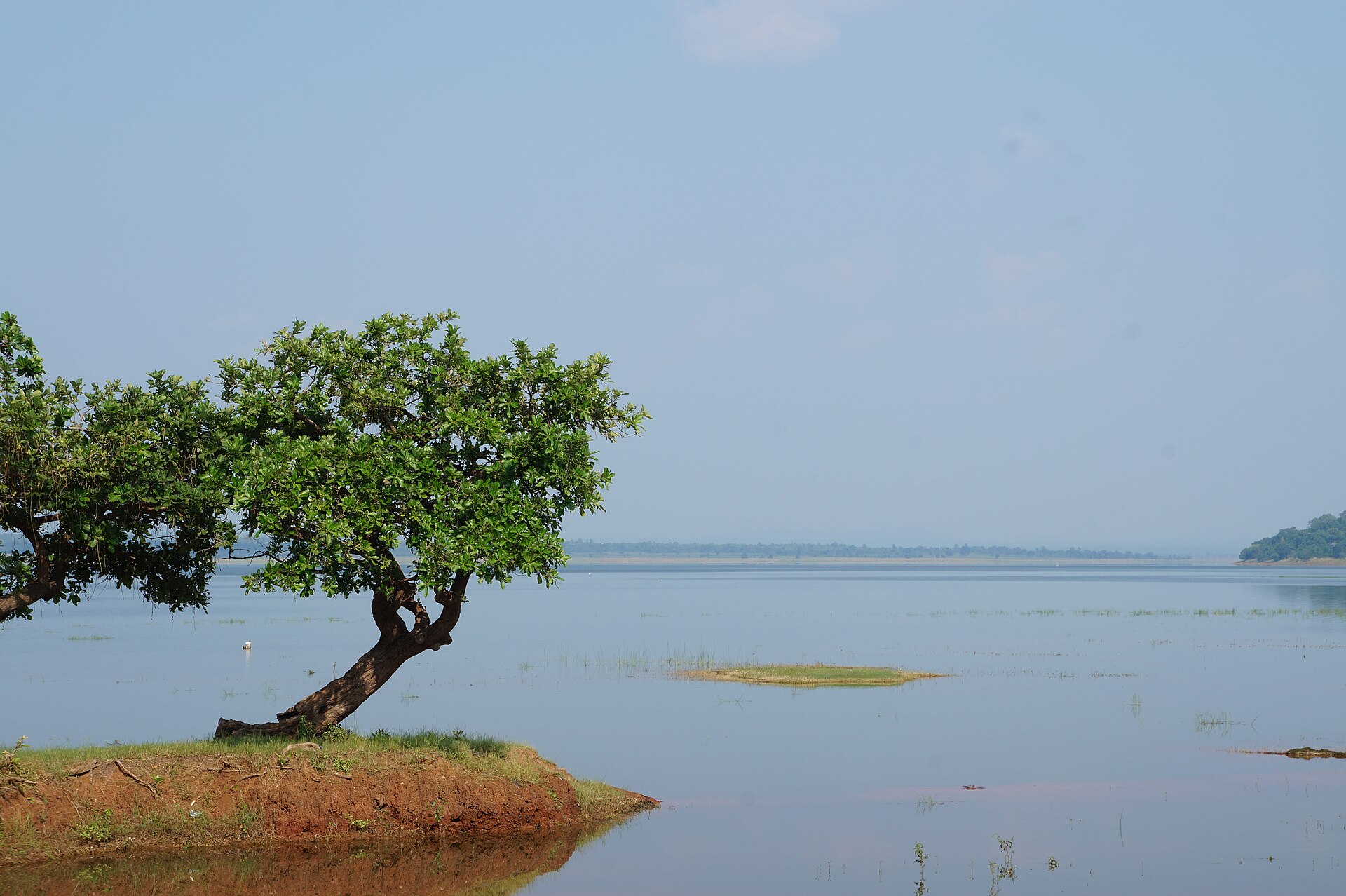 Pakhal lake and its forested shoreline in Warangal