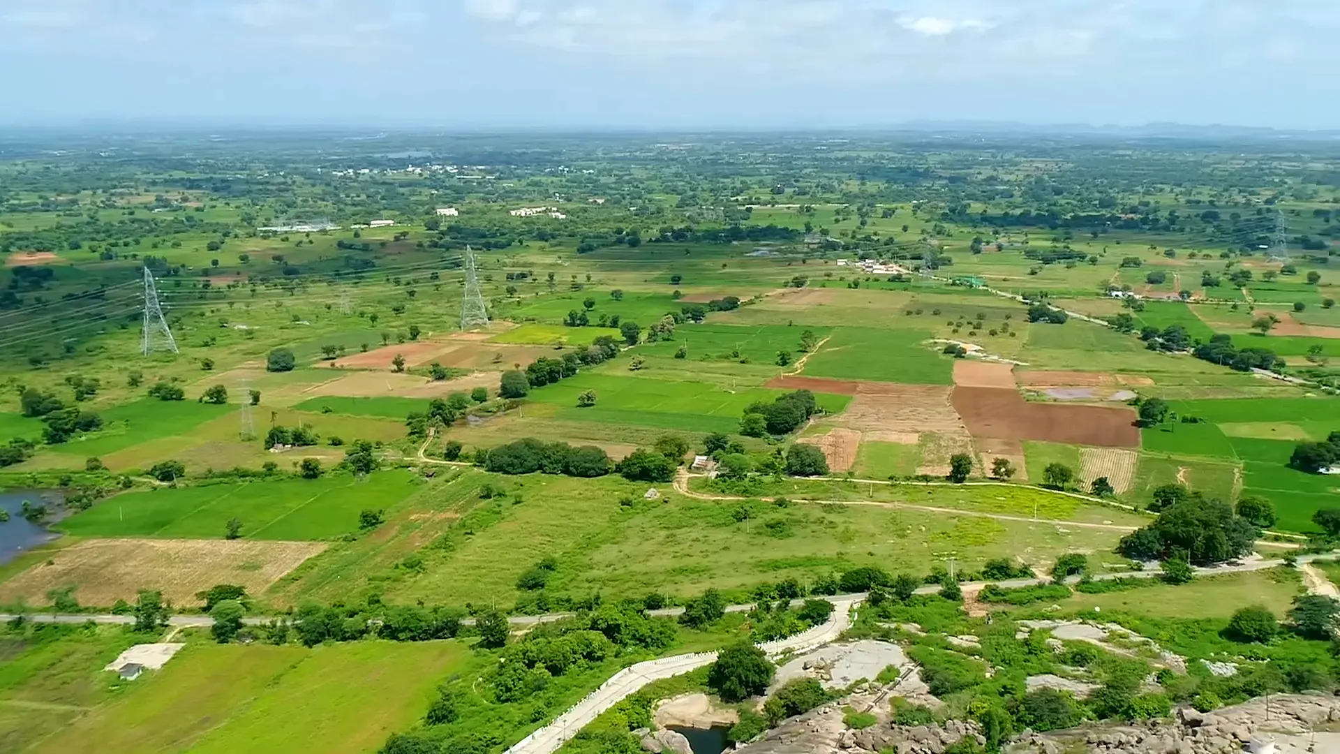 Irrigated fields under the Kaleshwaram system